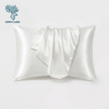 CerviLabs Silk Pillowcase — Wake Up Glowing, Not Creased